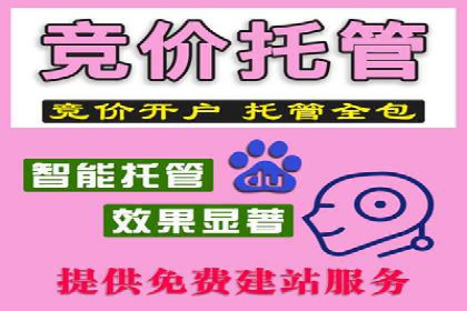 百度竞价推广：从投放策略到效果评估的全过程